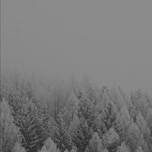 Meet your Posher, Guadalupe